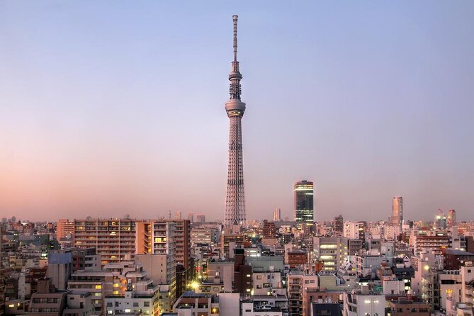 Day Private City Tour of Tokyo with English speaking driver - Tokyo in One Day: Key Points to Know