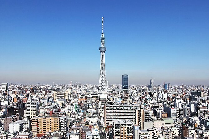 Day Private City Tour of Tokyo with English speaking driver - Tsukiji Market: A Taste of Old Tokyo’s Food Culture