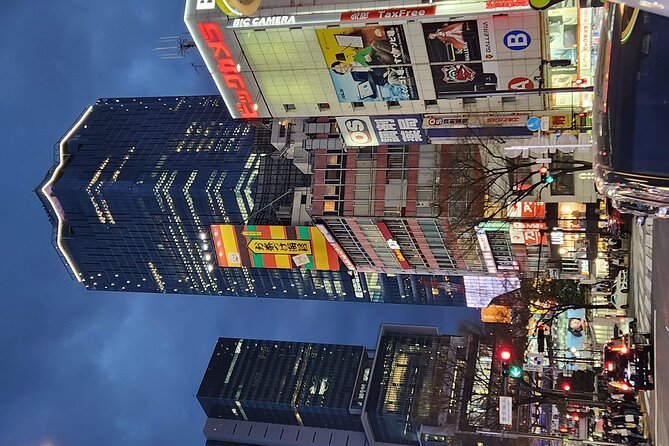 Day Private City Tour of Tokyo with English speaking driver - Takeshita Street: Two Hours for Shopping and Street Food