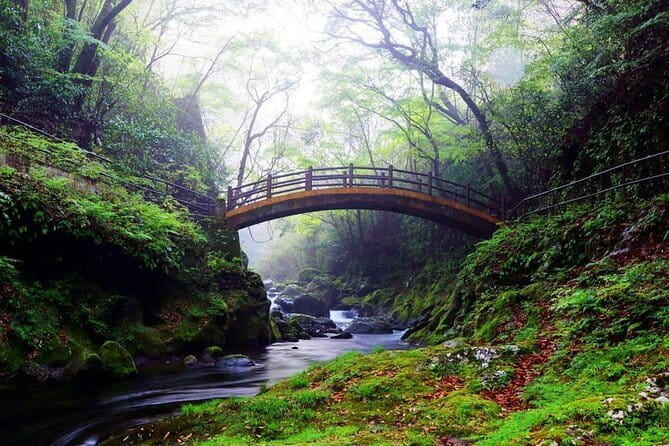 Day Tour to Miyazaki Takachiho Gorge & Shrine depart from Fukuoka - Key points before you book
