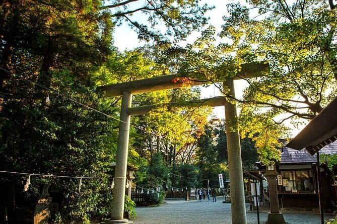 Day Tour to Miyazaki Takachiho Gorge & Shrine depart from Fukuoka - Why this Kyushu day trip is different