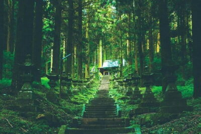Day Tour to Miyazaki Takachiho Gorge & Shrine depart from Fukuoka