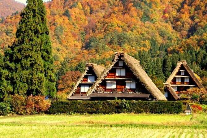 Day Trip for Shirakawago ,Takayama & gujo hachiman from Nagoya - A long day from Nagoya, with a useful purpose
