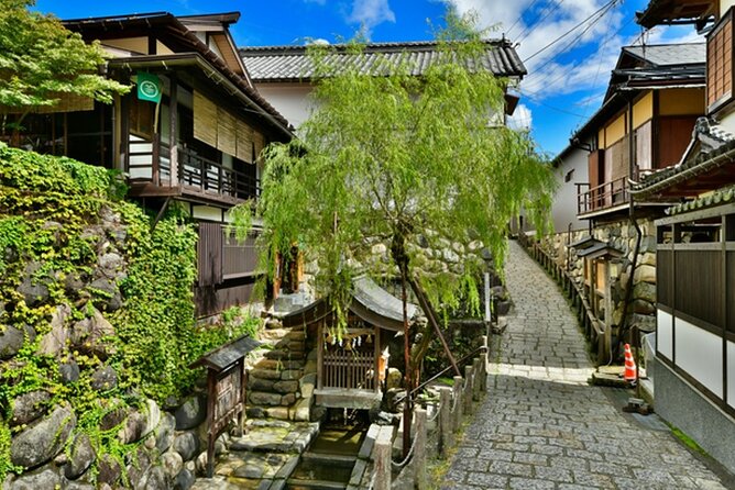 Day Trip for Shirakawago ,Takayama & gujo hachiman from Nagoya - Takayama: food first, sightseeing second