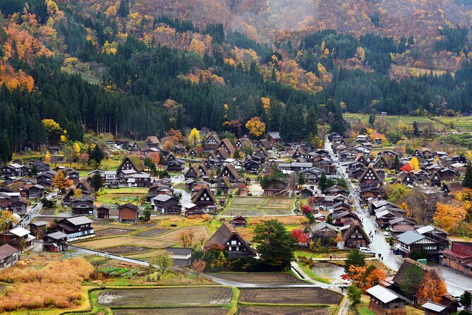 Day Trip for Shirakawago ,Takayama & gujo hachiman from Nagoya - Who should book this Nagoya day trip?