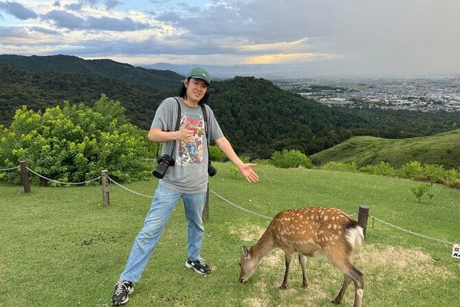 Discover Ancient Nara: Private Car Tour from Kyoto or Osaka - Meeting Nara’s famously persistent deer