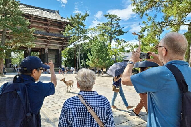 Discover Ancient Nara: Private Car Tour from Kyoto or Osaka - Mt. Wakakusa and the best view of the day