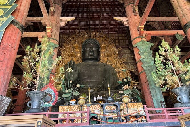 Discover Ancient Nara: Private Car Tour from Kyoto or Osaka - The guides are the main reason to book