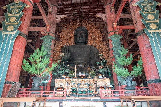 Discover Ancient Nara: Private Car Tour from Kyoto or Osaka - Todai-ji and the Great Buddha