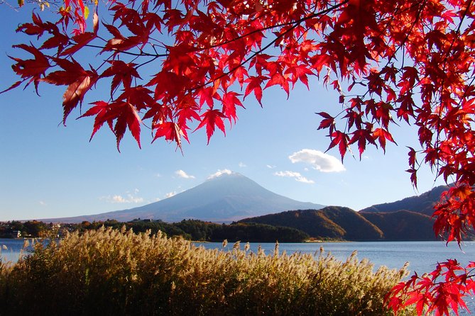 Discover Mt. Fuji 5th Station & Kawaguchiko Sightseeing Day Tour - The Fuji-Q Highland lunch stop