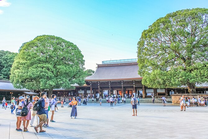 Discover Tokyo, Private Customized Tour with Expert Guides - What Tsukiji offers after the wholesale market moved