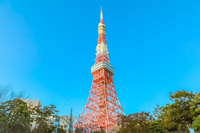 Discover Tokyo, Private Customized Tour with Expert Guides - How the guide changes the experience