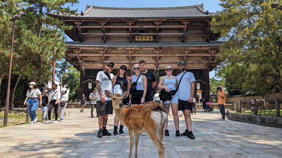 E-Bike Nara Highlights - Todaiji, Knives, Deer, Shrine - Japanese knives at Kikuichimonjushirokanenaga