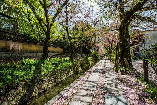 Early Bird E-biking through East Kyoto - Ginkaku-ji, lunch, and the Philosopher’s Path