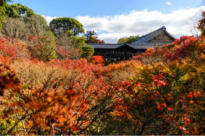 Early Bird E-biking through East Kyoto - Higashi Hongan-ji and the final coffee stop