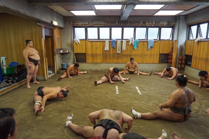 Exclusive Sumo Morning Practice in Tokyo with Photo Opportunity - What you will see during practice