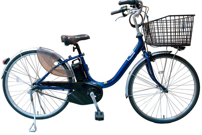 Explore Hidden Alleyway with a Local Expert (Morning tour) - Kyoto Imperial Palace on two wheels