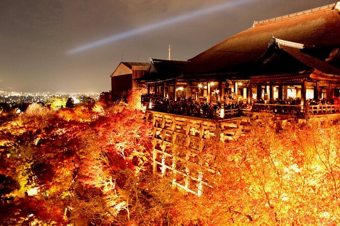 Explore Kyoto | Private Tour - Local English Driver(guide option) - A private car can tame Kyoto’s big distances