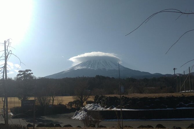 Exploring Mt Fuji Ice Cave and Sea of Trees Forest - Toshi’s guiding style