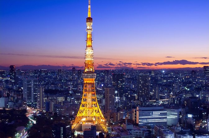 Flagship 2-Hours Official Street Go-Kart Tour - Tokyo Bay Shop - Five things to know before you book