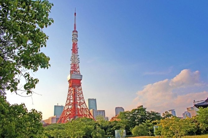 Freely set up plans Guided Private Tours in Tokyo - A flexible way to meet Tokyo