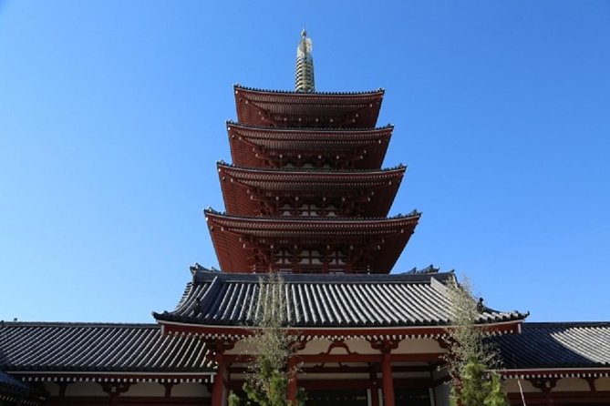 Freely set up plans Guided Private Tours in Tokyo - Skytree or Tokyo Tower for the big view