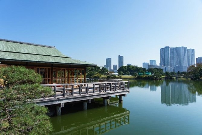 Freely set up plans Guided Private Tours in Tokyo - Shibuya Crossing and Meiji Jingu