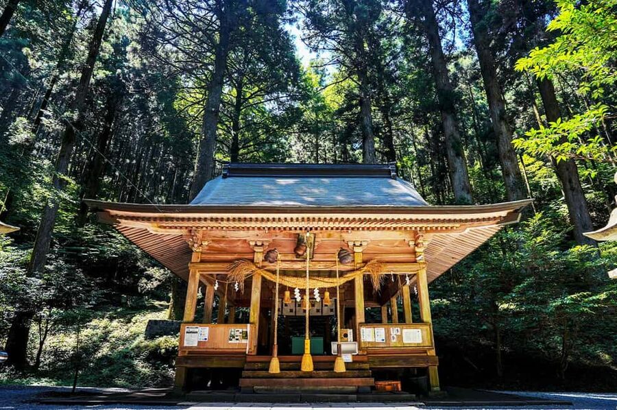 From Fukuoka: Miyazaki, Takachiho Gorge and Shrines Day Tour - Key points to know before booking