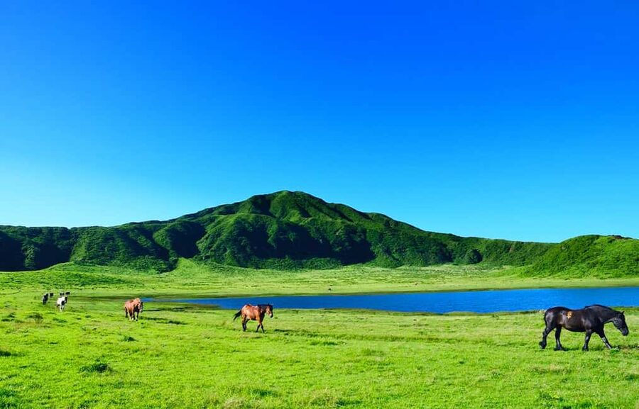 From Fukuoka: Mount Aso, Kurokawa Onsen, and Shrine Tour - Kusasenri: the best place to slow down