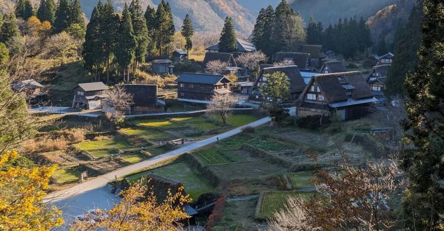 From Kanazawa: Shirakawa-go, Gokayama and Wood Carving Art - Inami: wooden cats and a magnificent temple