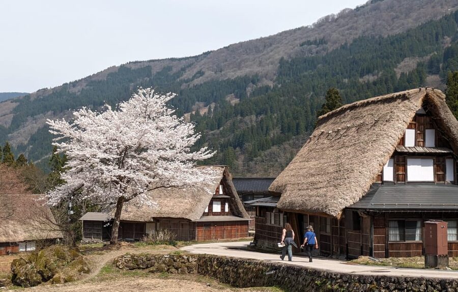 From Kanazawa: Shirakawa-go, Gokayama and Wood Carving Art - The matcha stop at Shima