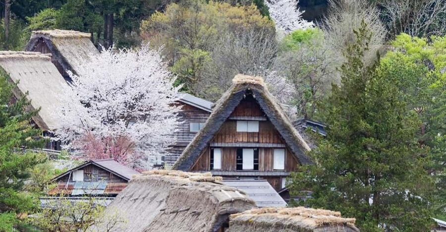From Kanazawa/Toyama: Shirakawago and Takayama Day Tour - Hida no Sato: a quieter look at Hida homes