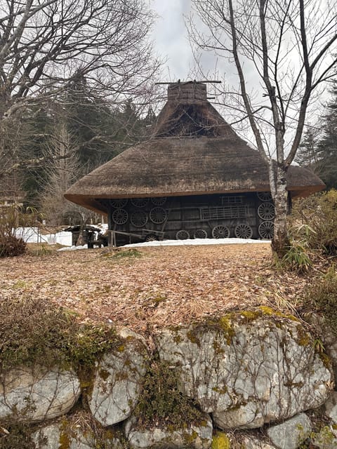 From Kanazawa/Toyama: Shirakawago and Takayama Day Tour - Who should book this day trip?