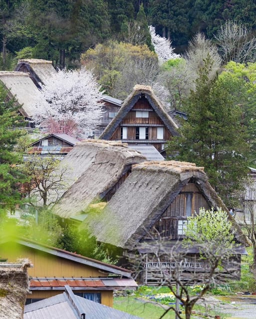 From Kanazawa/Toyama: Shirakawago and Takayama Day Tour - Starting from Kanazawa, Toyama, or Takayama