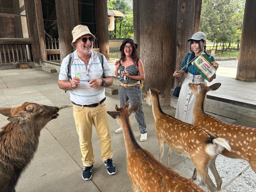 From Kyoto: Nara Guided Morning Tour - Key points to know before booking