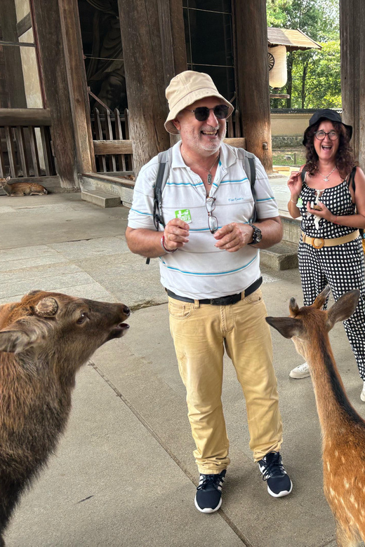 From Kyoto: Nara Guided Morning Tour - Why this four-hour Nara trip works