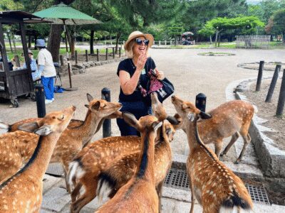 Nara Guided Morning Tour