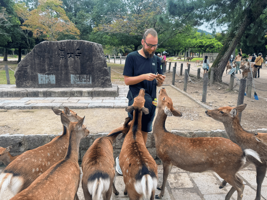 From Kyoto: Nara Guided Morning Tour - Todaiji Temple and the Great Buddha Hall