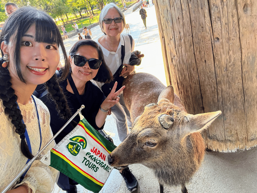 From Kyoto: Nara Guided Morning Tour - Is the $77 price good value?