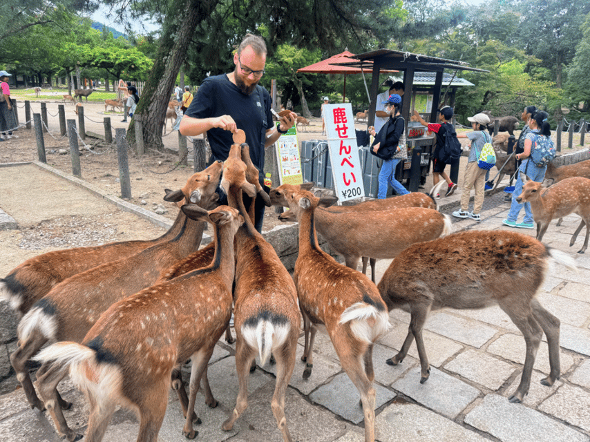From Kyoto: Nara Guided Morning Tour - Who should book this morning in Nara?
