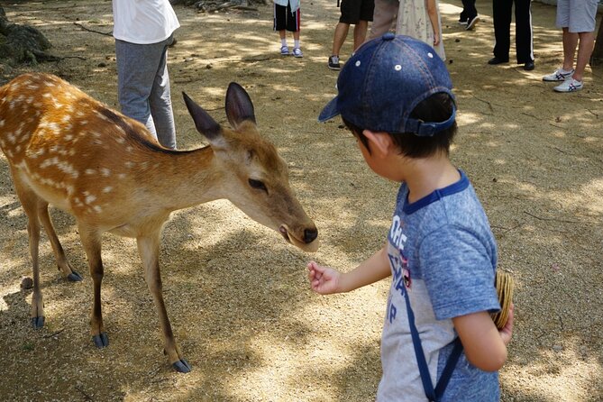 From Kyoto: Nara History Guided Half Day Bus Tour with Lunch - Walking to Todaiji Temple