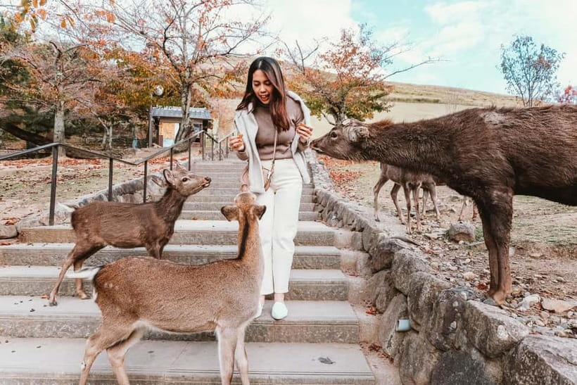 From Kyoto: Nara, Osaka & Kobe Day Trip – 3 Cities in 1 Day - Is $129 good value?