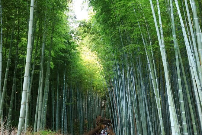 From Kyoto / Osaka: Kyoto Must-see Spots & Nara Park One Day Tour - Why this route works for a first visit