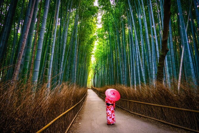 From Kyoto / Osaka: Kyoto Must-see Spots & Nara Park One Day Tour - Nara Park and the polite deer