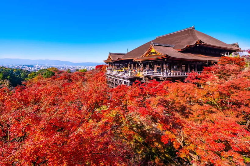 From Kyoto/Osaka: Kyoto Top Highlights 1-Day Guided Bus Tour - What to bring for a smoother day