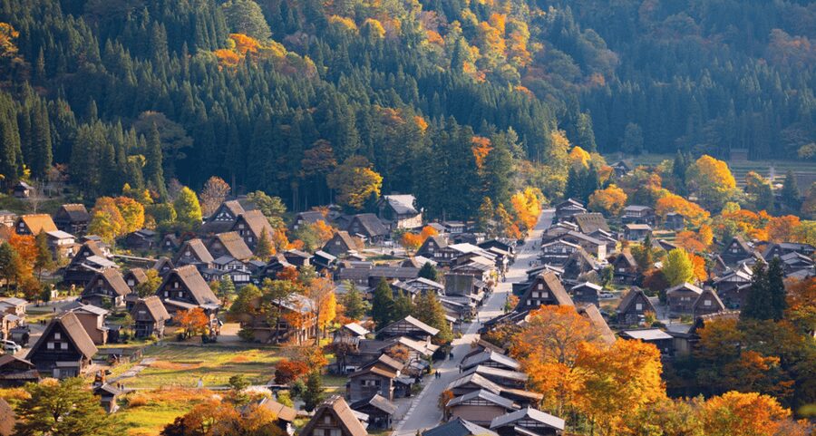 From Nagoya: Hida Takayama & Shirakawa-go Tour w/Opt. Lunch - Is the $61 price good value?