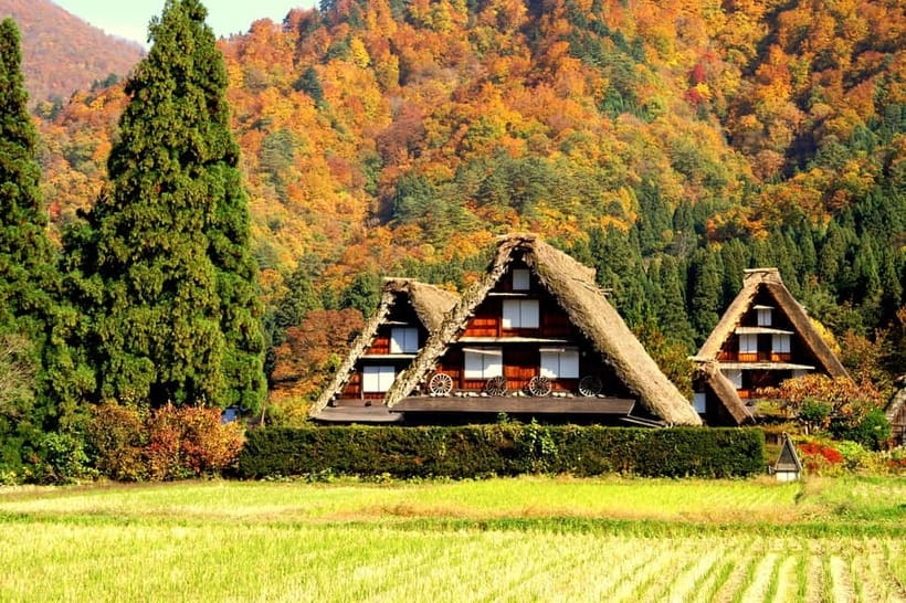 From Nagoya: Hida Takayama & Shirakawa-go Tour w/Opt. Lunch - The guide makes a real difference