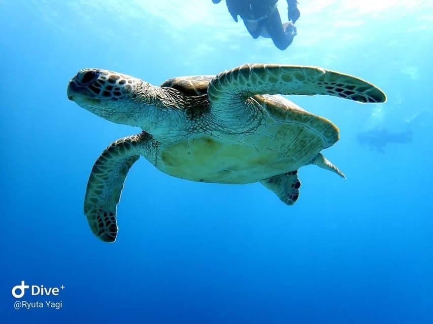 From Naha Scuba Diving Trip in Kerama(for certified divers) - The one-hour speedboat ride to Kerama
