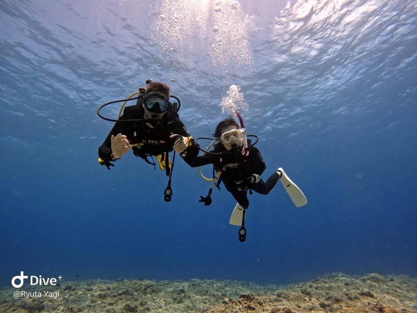 From Naha Scuba Diving Trip in Kerama(for certified divers) - The optional third session for 5,500 yen