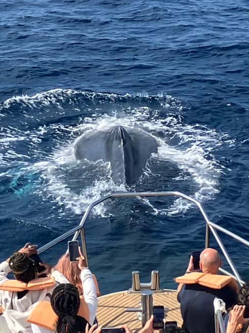 From Naha: Whale Watching with Pickup and English Guide - Choosing hotel pickup in Naha